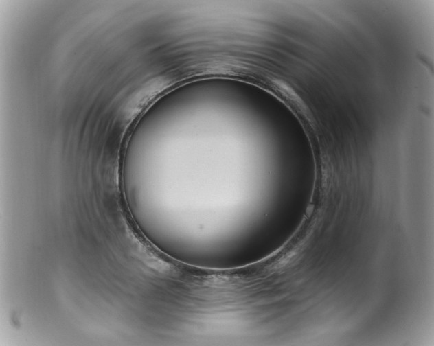 X0000099400938200805151702