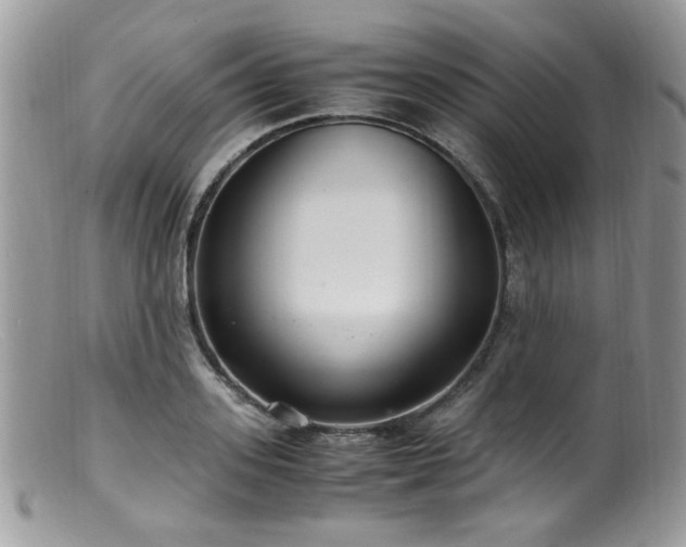 X0000099400939200805151702