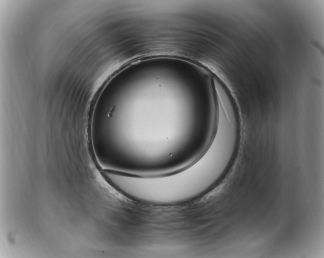 X0000099400941200805151702