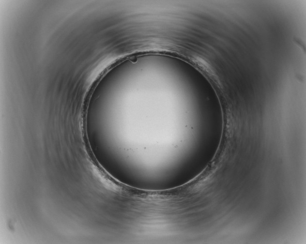 X0000099400942200805151702