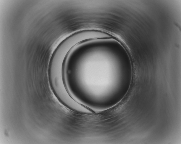 X0000099400943200805151702