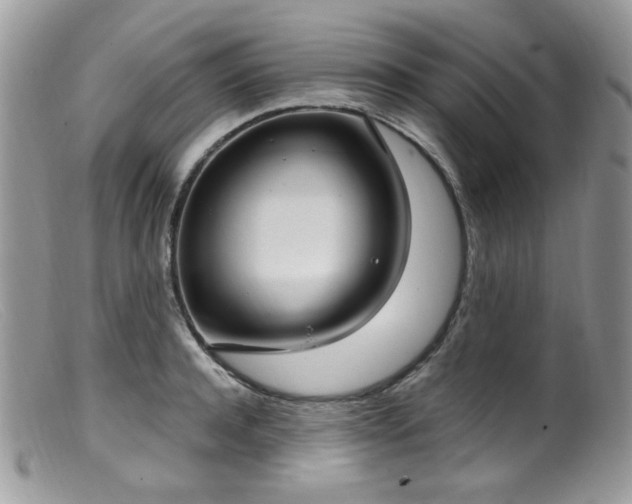 X0000099400944200805151702