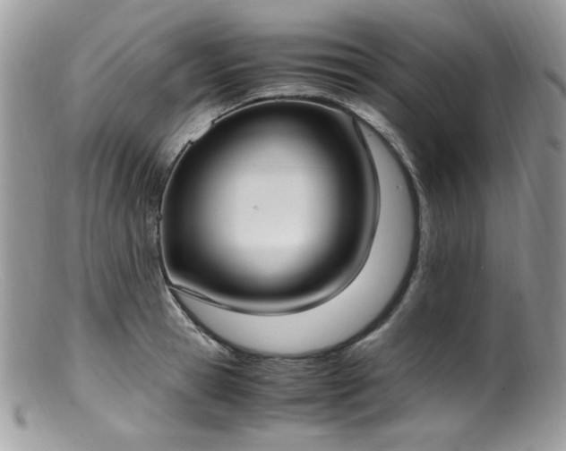 X0000099400945200805151702