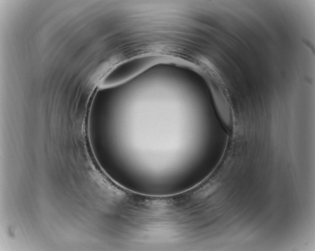 X0000099400946200805151702