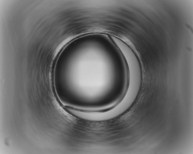 X0000099400947200805151702