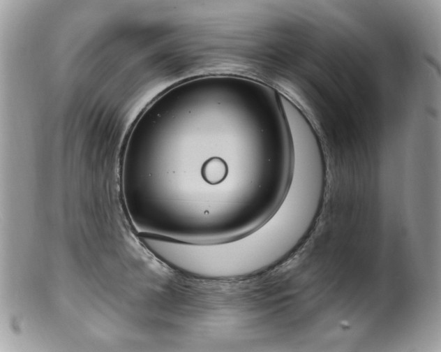 X0000099400948200805151702