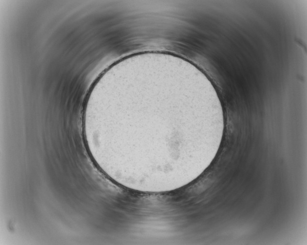 X0000099400950200805151702