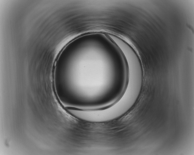 X0000099400951200805151702