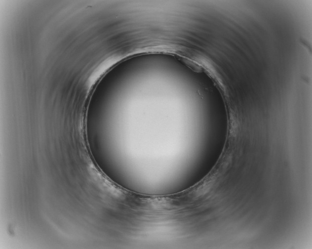 X0000099400952200805151702