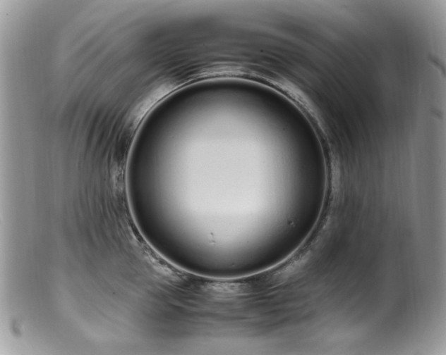 X0000099400953200805151702