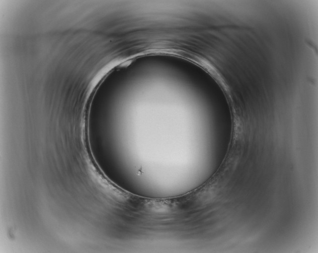 X0000099400955200805151702