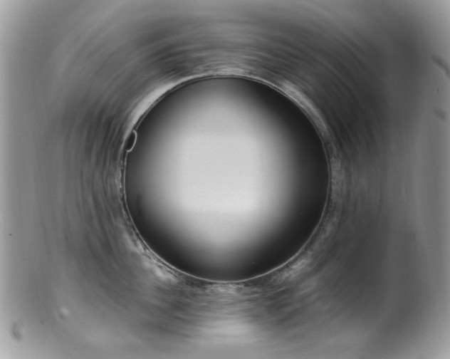 X0000099400956200805151702