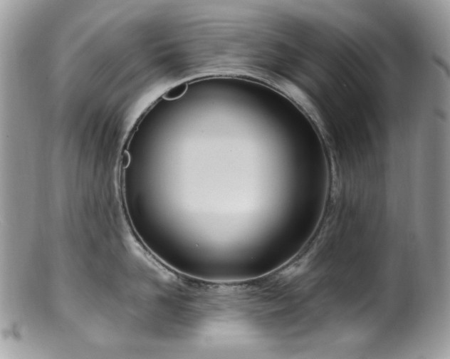 X0000099400958200805151702