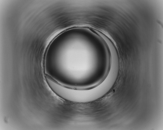 X0000099400959200805151702