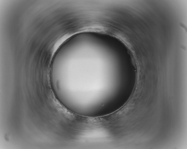 X0000099400960200805151702