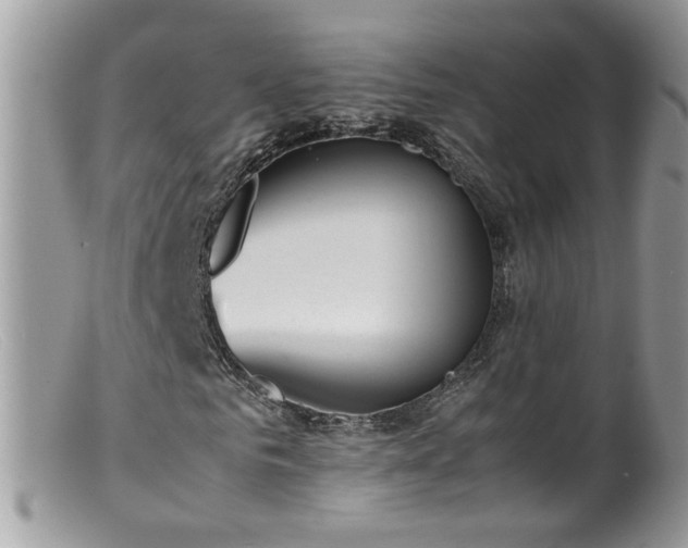 X0000099400961200805151702