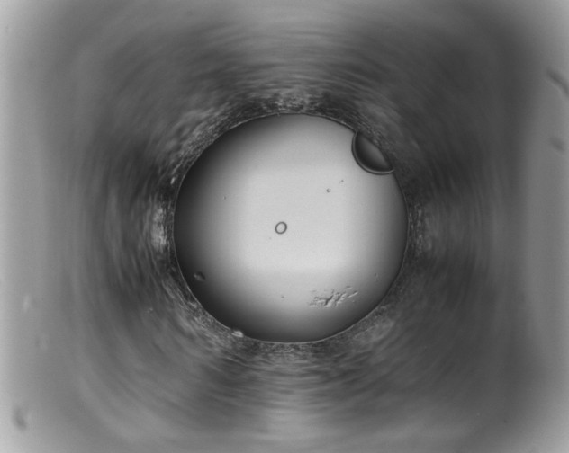 X0000099400962200805151702