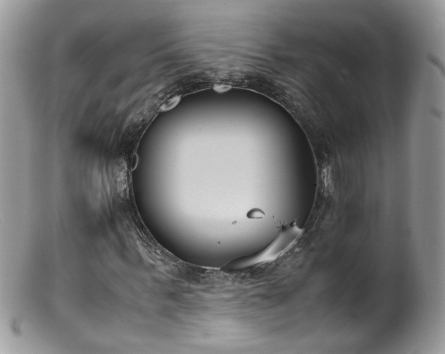 X0000099400963200805151702