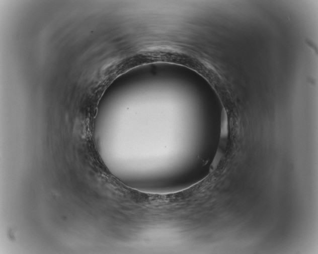 X0000099400965200805151702