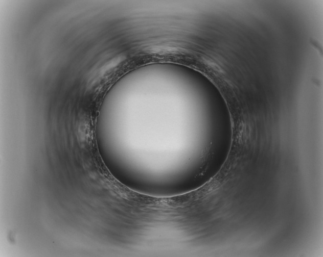 X0000099400966200805151701