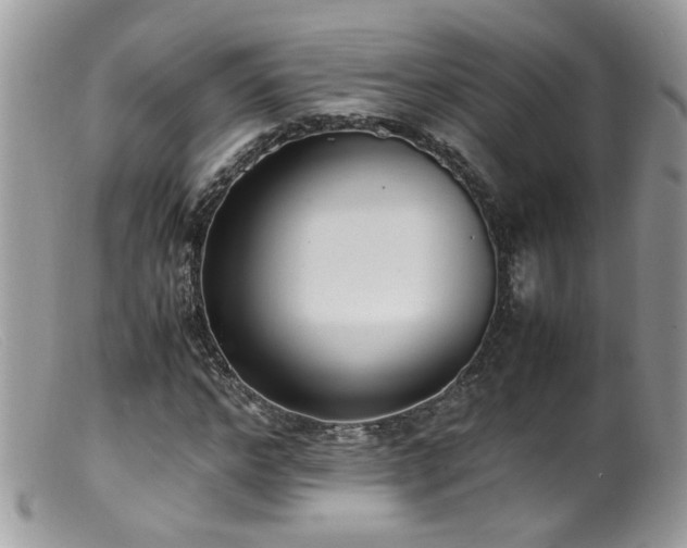 X0000099400968200805151701