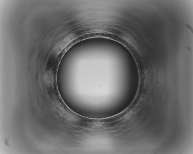 X0000099400969200805151701