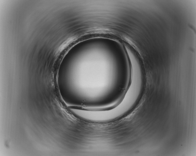 X0000099400970200805151701