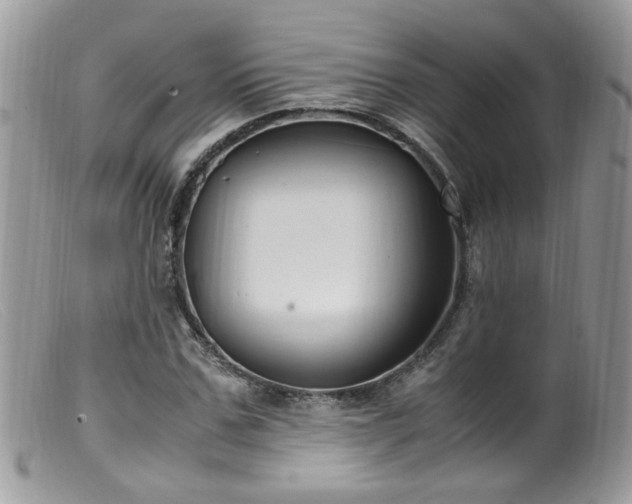 X0000099400971200805151701