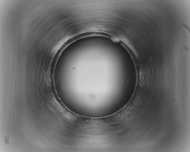 X0000099400972200805151701