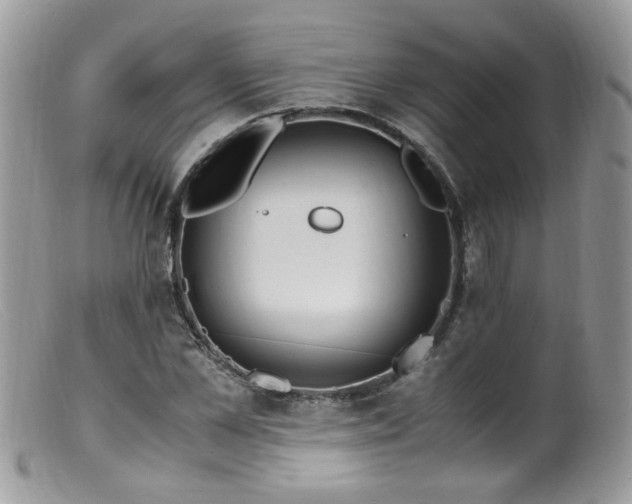 X0000099400973200805151701