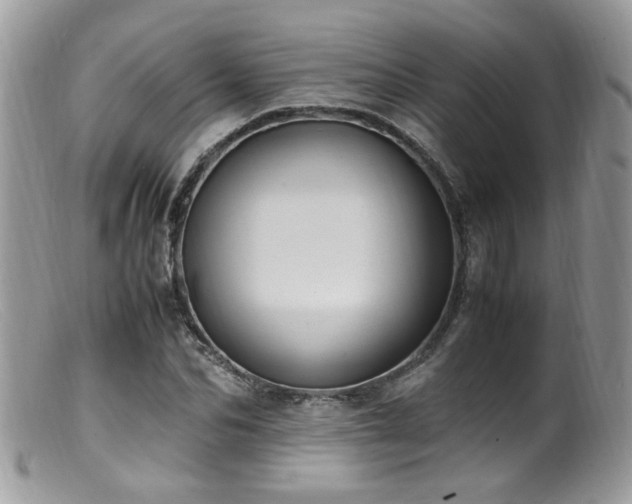 X0000099400974200805151701