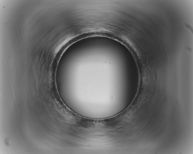 X0000099400975200805151701