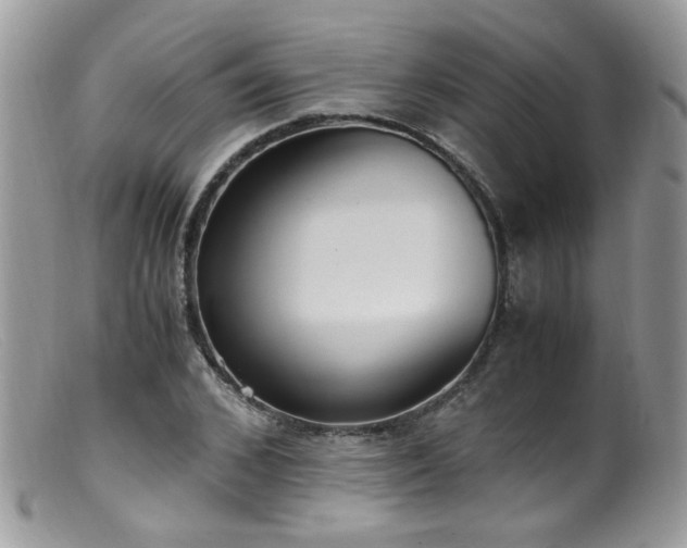 X0000099400976200805151701