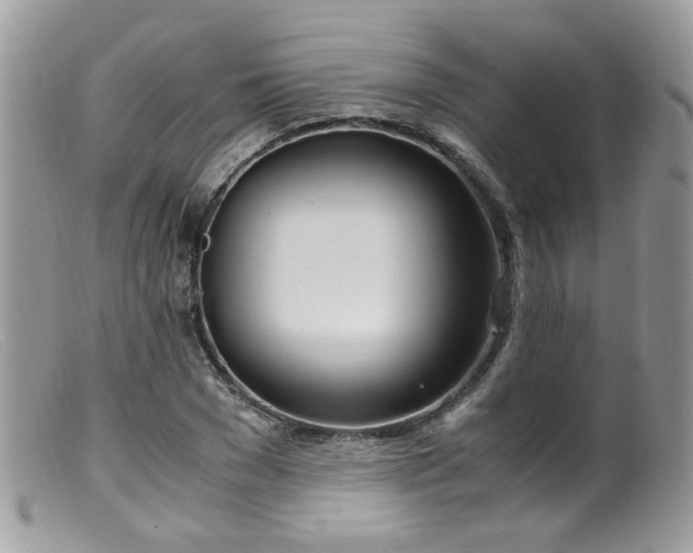 X0000099400977200805151701