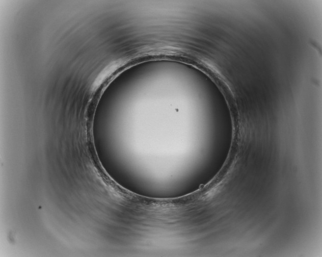 X0000099400978200805151701