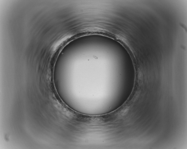 X0000099400979200805151701