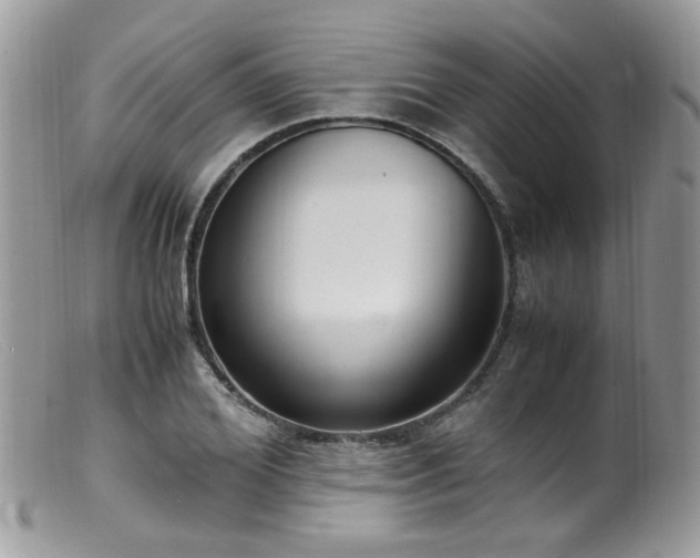 X0000099400980200805151701