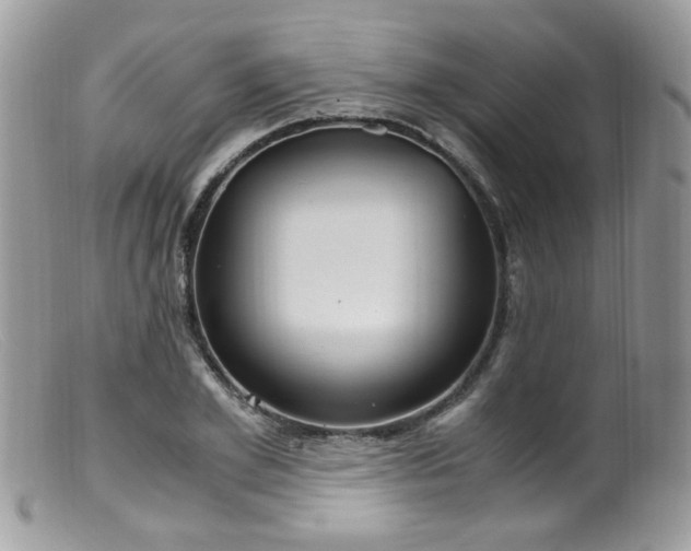 X0000099400981200805151701