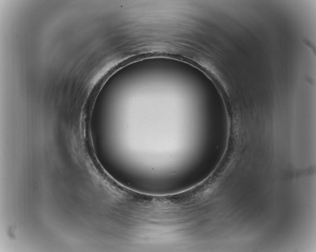 X0000099400983200805151701