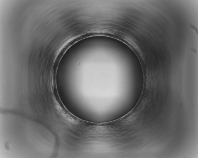 X0000099400984200805151701