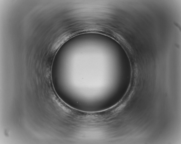 X0000099400985200805151701