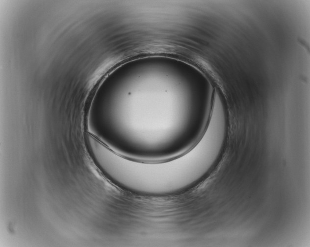 X0000099400986200805151701