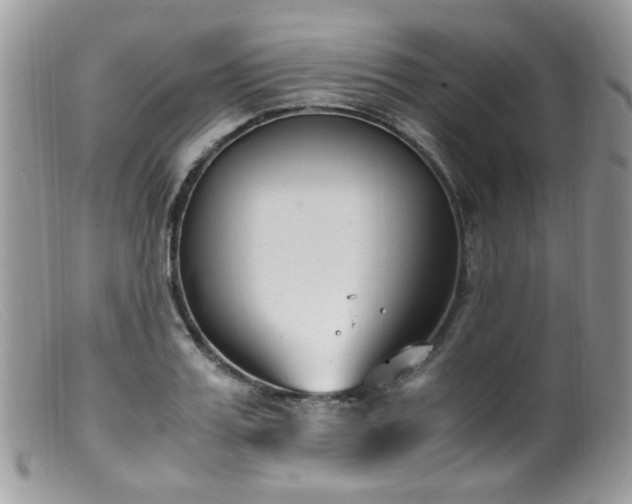 X0000099400987200805151701