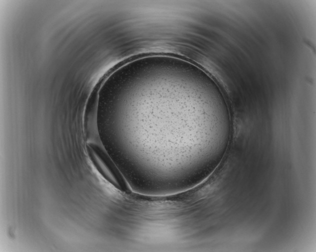 X0000099400988200805151701