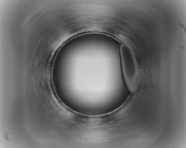 X0000099400989200805151701