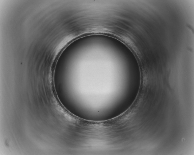 X0000099400990200805151701