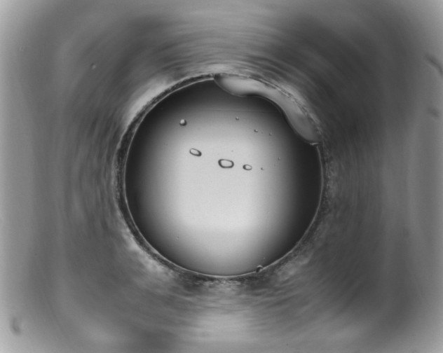 X0000099400991200805151701