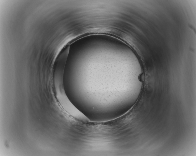 X0000099400992200805151701