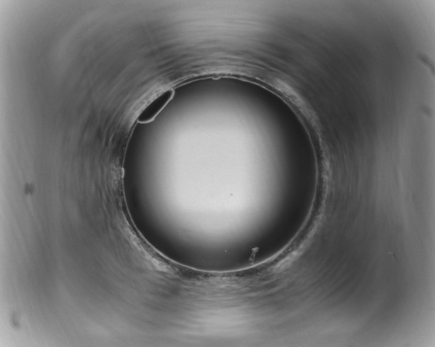 X0000099400993200805151701