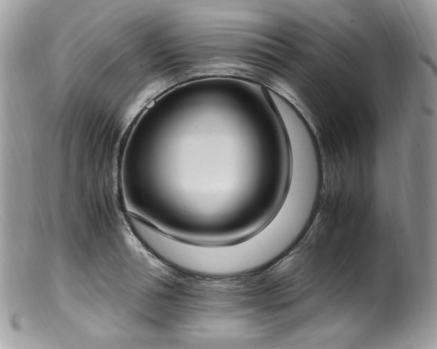 X0000099400994200805151701